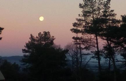 Domek nad stawem - Foto 47