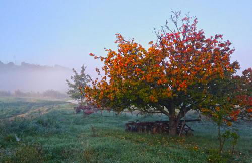 Agriturismo Le Canterie - Foto 34