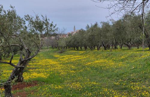 Mondellebotte - Luxus Villa & traumhafter Meerblick - Foto 47