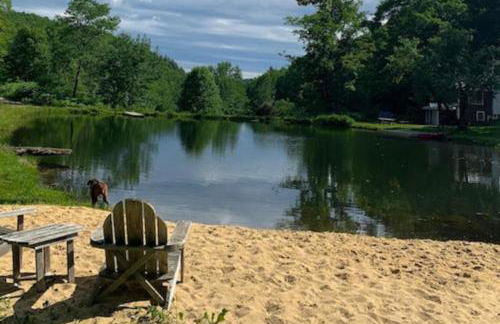 Wild Blue Yonder - Foto 22