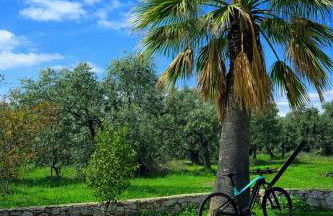 Elia & Petra Villa - Photo 12