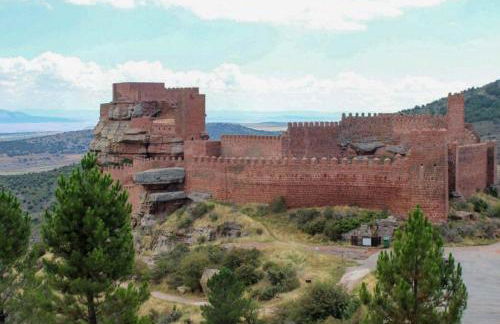 Aromas del Jiloca, la Trufa Negra - Foto 42