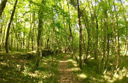 Gîte écologique en vallée de la Dordogne Lotoise - Foto 22