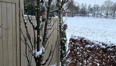 Apartment Wat Moi - Foto 5