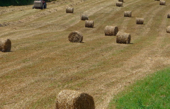 Farmhouse in Vinci's Time Capsule - Foto 12