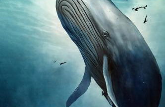 La Cartomante di Bonaparte - Foto 12