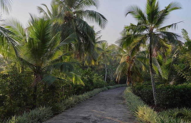 Halala Kanda by Boutique - Foto 43