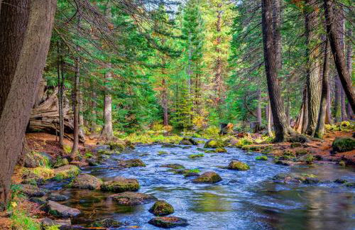 Black Butte Ranch 208 - Foto 54