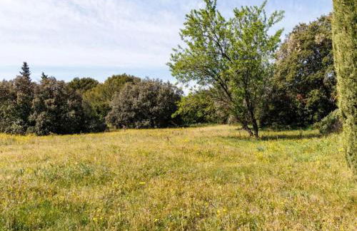 Belle villa provençale piscine terrain - Photo 54