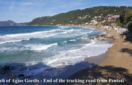 Villa Olivia - Photo 35