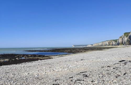 Beautiful 19th century host house near from Etretat - Foto 39