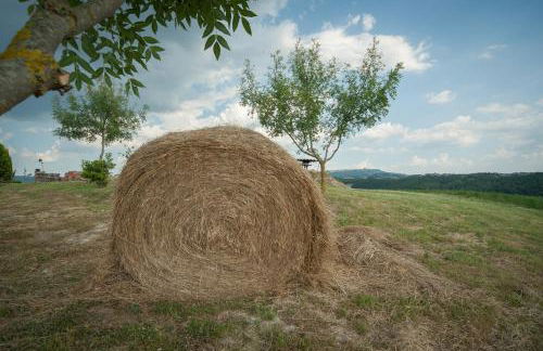 Agriturismo La Mirandola - Foto 39