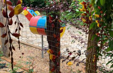 Pousada Villa Cachoeira - Foto 42