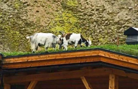 The Farmers den lodge at River Garry Lodges - Foto 10