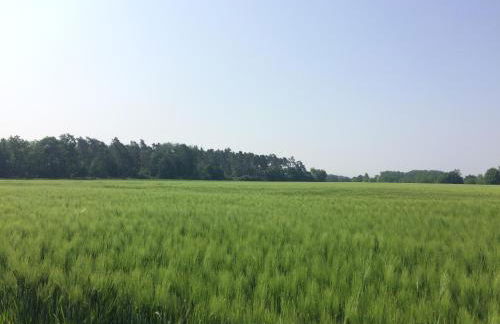 Eifel-Lounge BLOCKHAUS mit Kamin Garten Balkon nahe Köln Therme Brühl Phantasialand - Foto 57