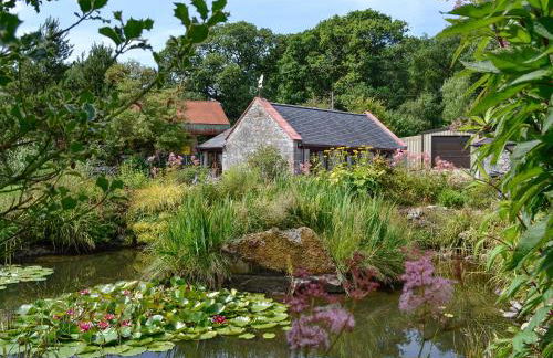 Wee Cordorcan - Uk5890 - Foto 1