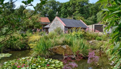 Wee Cordorcan - Uk5890 - Foto 1