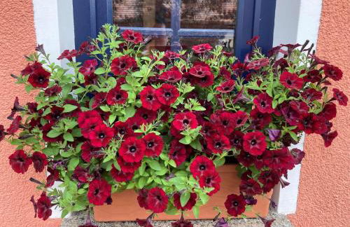 Ferienwohnung Helbing - Foto 5