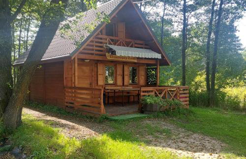 Ranczo Rykowisko - Foto 1