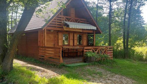 Ranczo Rykowisko - Foto 1, Garden, Other