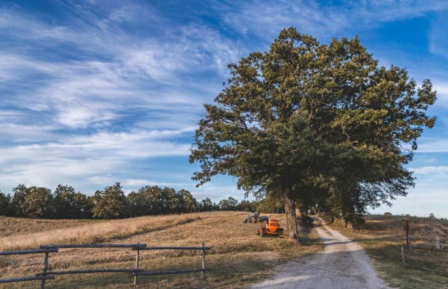 Spacious House in Pienza - Foto 41