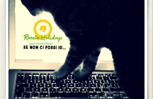 roseto holidays - Foto 6