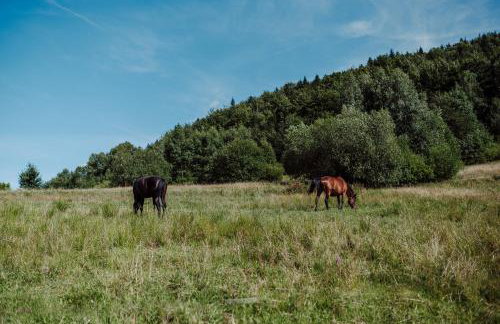 Willa Juszczyn - Foto 56