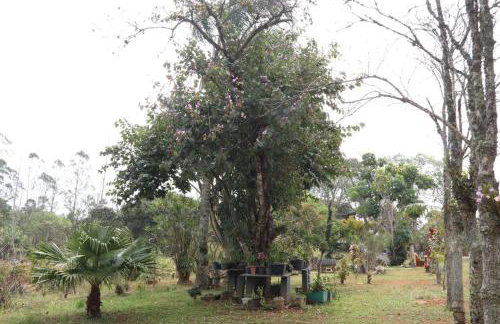 Chácara Recanto Florido - Foto 48