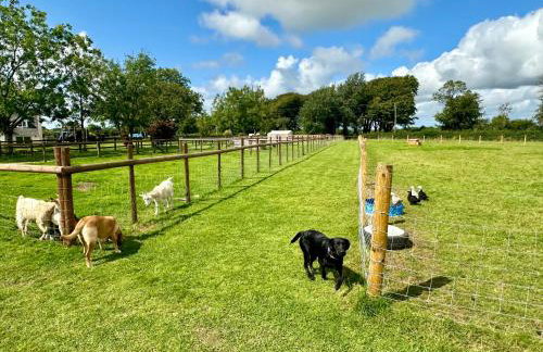 Pheasants Nook - Foto 11