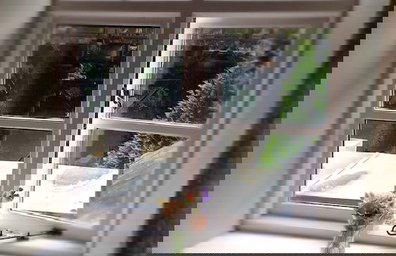 The Boat Inn - Foto 4