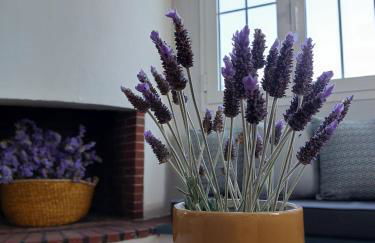 The Three Palms Samos Seaside Villa - Foto 19