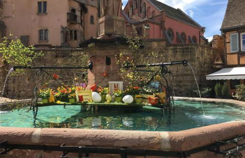 Fleur de Vigne - Foto 33