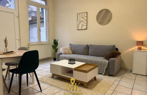 T2 Chic & Lumineux Bar-le-Duc Centre-Ville - Foto 2