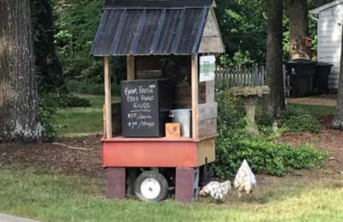 Private, Updated Townhouse in DT Apex - Foto 33