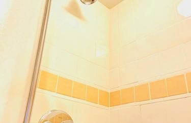 Catskill Cabin Bird of Paradise 7 - Foto 6