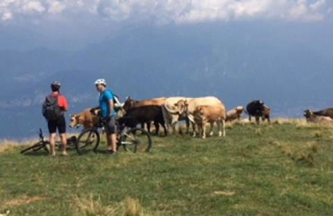 Lake View Apartments - Foto 36