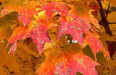 37 Wamphassuc Rd Château Stonington - Foto 37