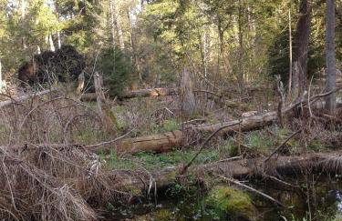 Cztery Pory Roku - Foto 58