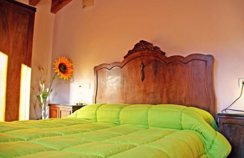 Hort de Mao - Photo 12