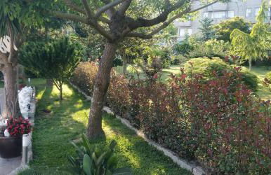 Casa Barranqueiro - Foto 13