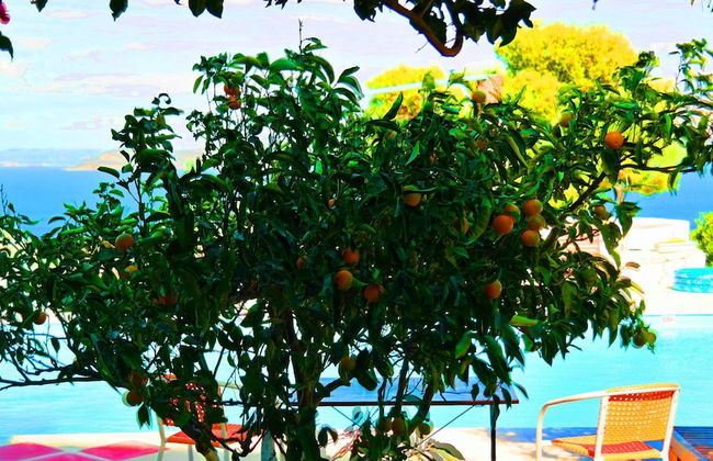 Villa Agnanti - Foto 13