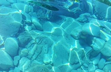 Villa Eleonora - Photo 39