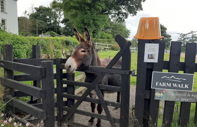 Abhainn Ri Cottages - Foto 23