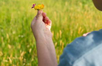 Tiny House 1 im schönen Allgäu mit großem Garten, Naturnah - Foto 21
