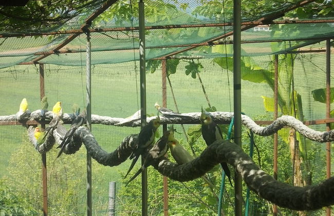 Agriturismo Bosco del Gal - Photo 44