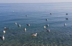 Casa Marylu con giardino - Foto 32