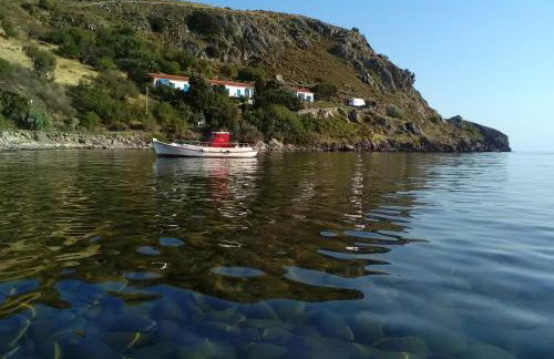 Enalion House - Photo 25