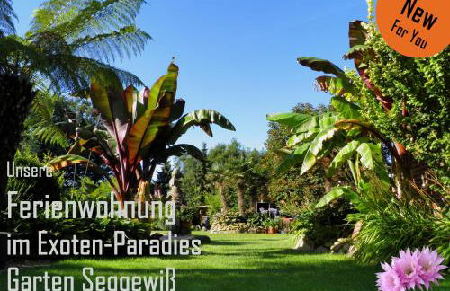 Ferienwohnung Exoten-Paradies im Garten Seggewiß - Tierfreie Nichtraucherwohnung in Raesfeld, Kreis Borken - Foto 33