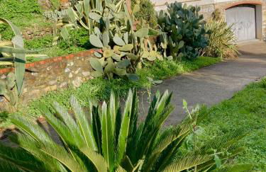 Casa Mediterraneo - Foto 44