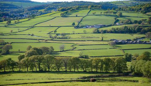 Coedmor Cottages - Foto 3